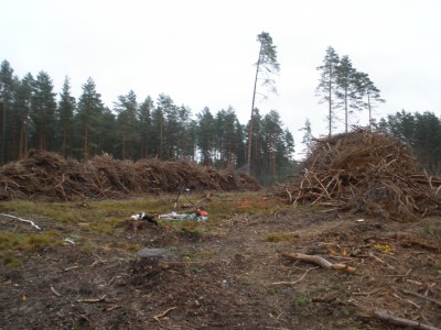 PB030614.JPG