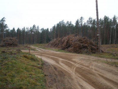 PB030620.JPG