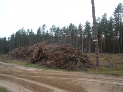 PB030621.JPG