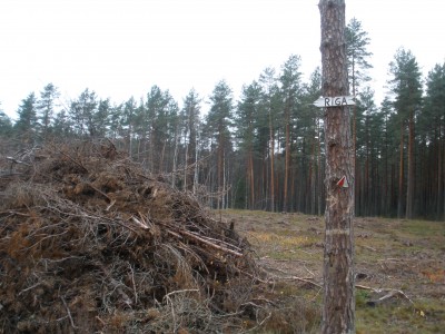 PB030622.JPG