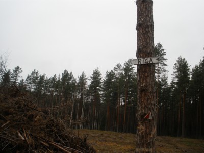 PB030623.JPG
