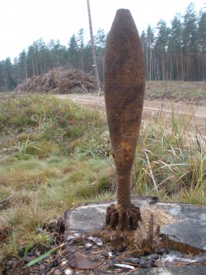 PB030625.JPG