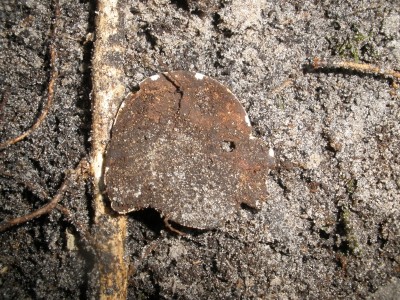 PB140672.JPG