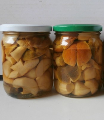 PB211081.JPG