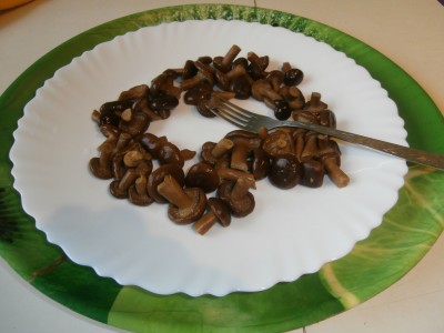 PB231126.JPG