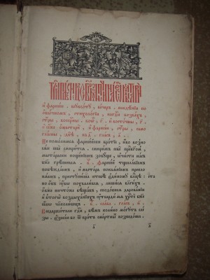 IMGP3815.JPG