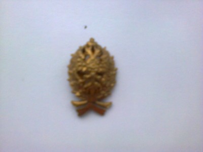 Fotoattēls0084.jpg