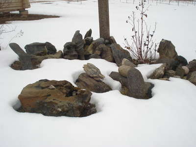DSC02036.JPG