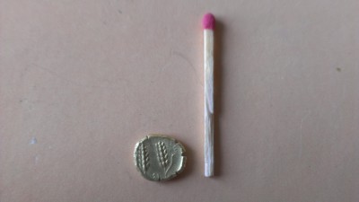 IMAG0249.jpg