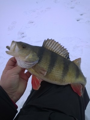 WP_20140202_002.jpg