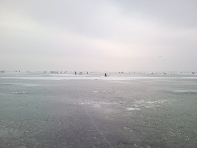 SNC00901.jpg