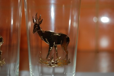 DSC_0093.JPG