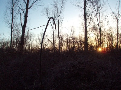 P2104045.JPG
