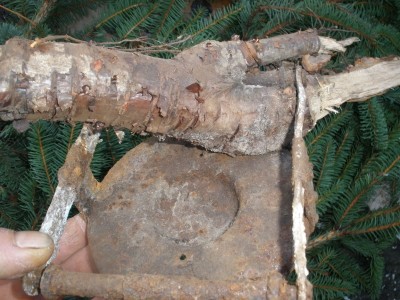 PB250618.JPG