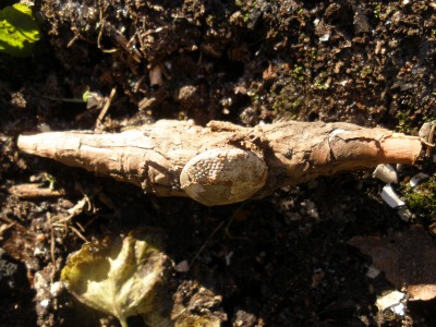 PB260623.JPG