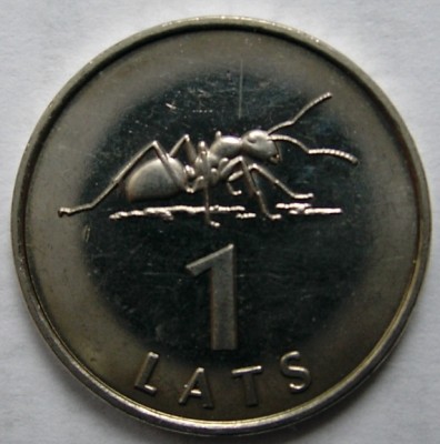 1лат муравей 005.jpg
