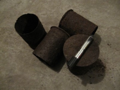 t 009.JPG