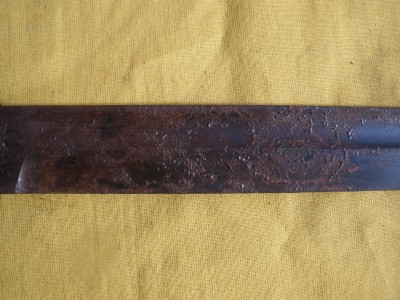 P4020009.JPG