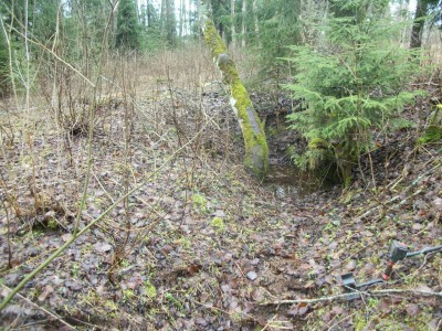100_7579.JPG