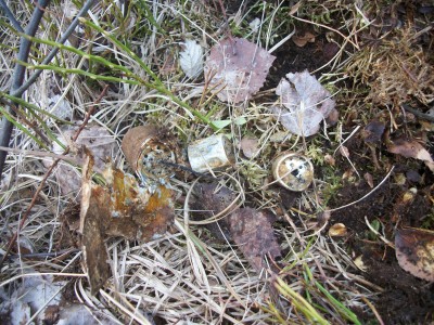 100_7611.JPG