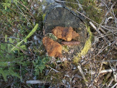 100_7614.JPG