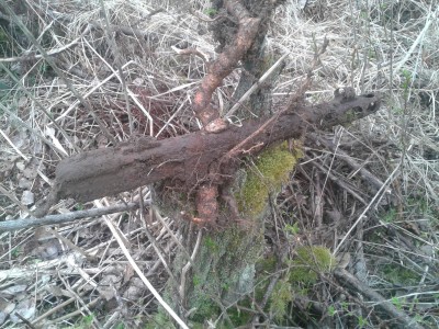 20140412_074736.jpg
