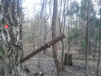 20140412_161737.jpg