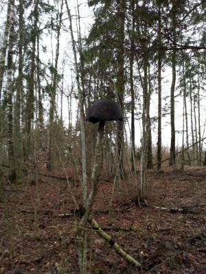 20140108_101910.jpg