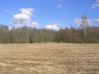 DSCN3569.JPG