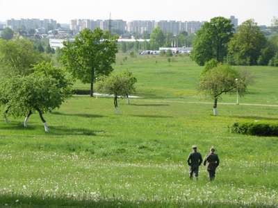 IMG_2282.jpg