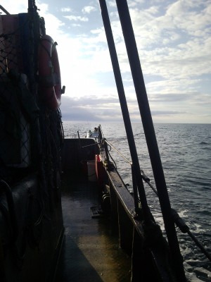 SNC01346.jpg