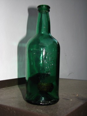 IMG_2616.JPG