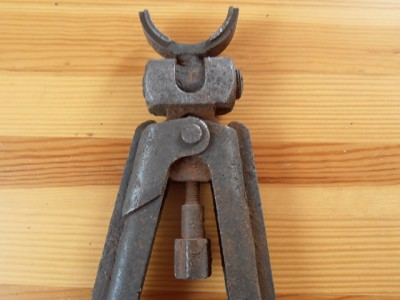 P1010005.JPG