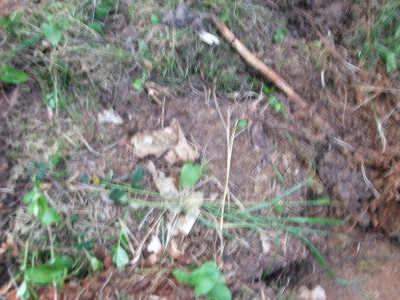 DSCF0725.JPG