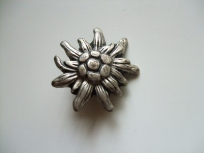 DSCF8595.JPG