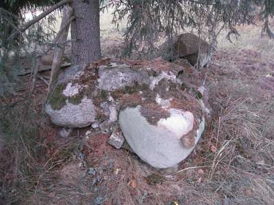 Picture 387.jpg