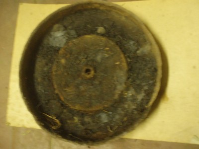 P1018728.JPG