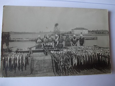 Ž01 016.jpg