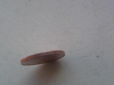 IMG381.jpg