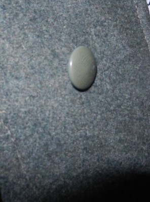 belorusija 2014 031.JPG