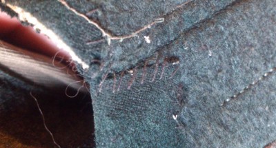 DSC_5907.jpg