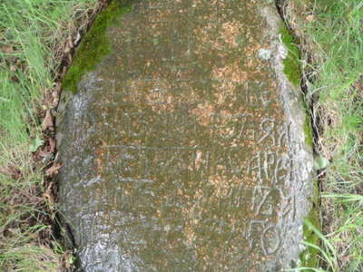 P1020442.JPG