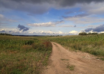 118.JPG