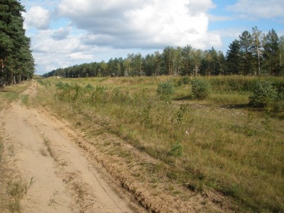 P8310144.JPG