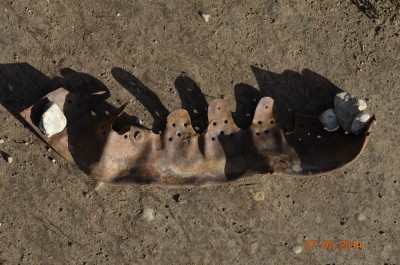DSC_9847.jpg