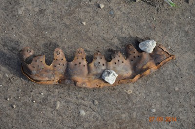 DSC_9848.jpg