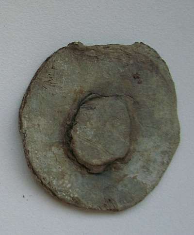 p2.jpg