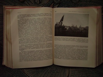 Picture 981.jpg