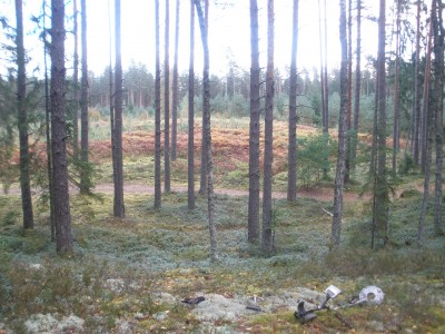 P9240120.JPG