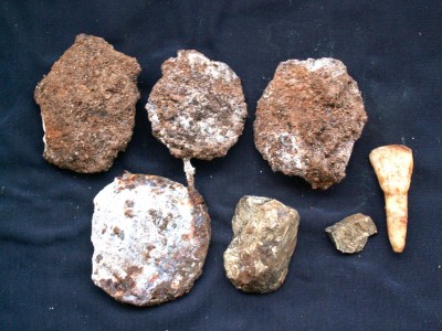 PICT0011.JPG